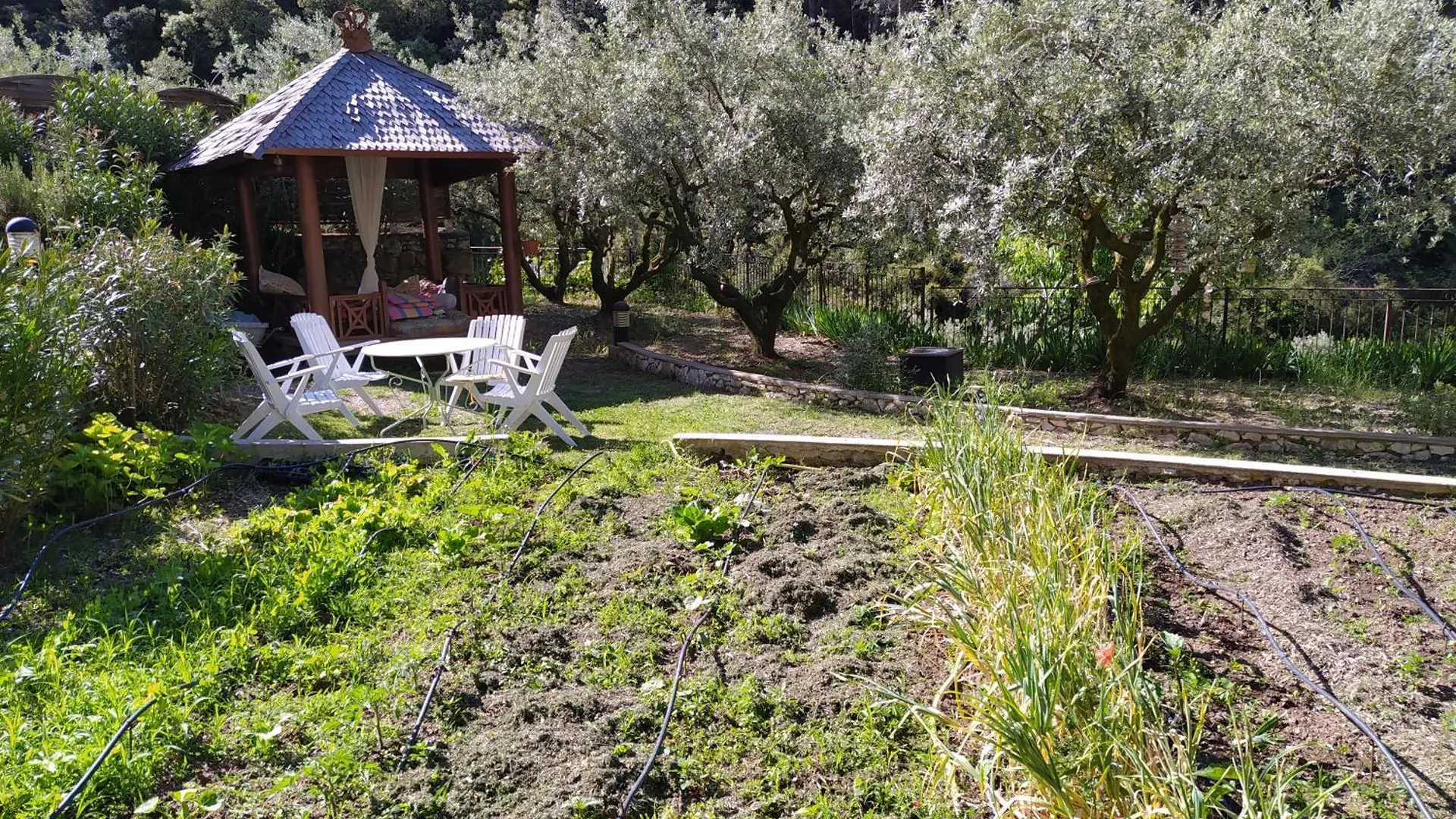Guest house Le Frangipanier Hotel Le Barroux